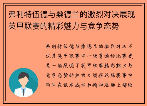 弗利特伍德与桑德兰的激烈对决展现英甲联赛的精彩魅力与竞争态势
